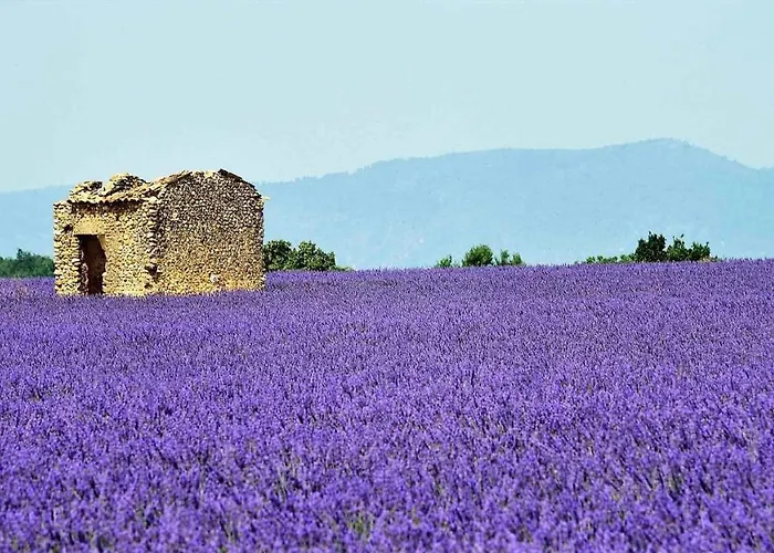 Naturiste Tikayan Petit Arlane Valensole